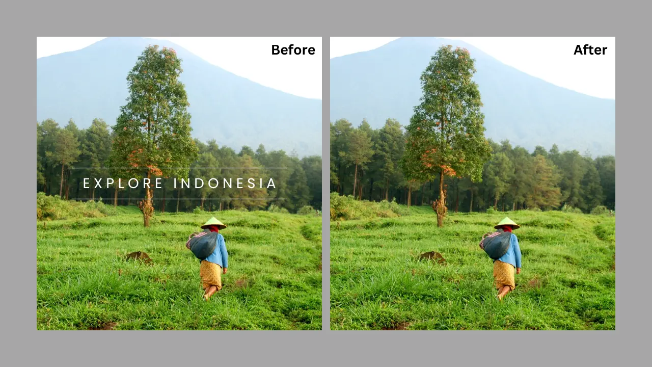 How to Remove Text from Image without Removing Background