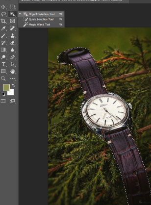 Create a selection with the Object Selection tool.